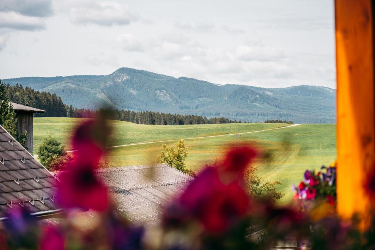 Wander- Und Wellnesshotel Kanzler Bad Mitterndorf Eksteriør billede